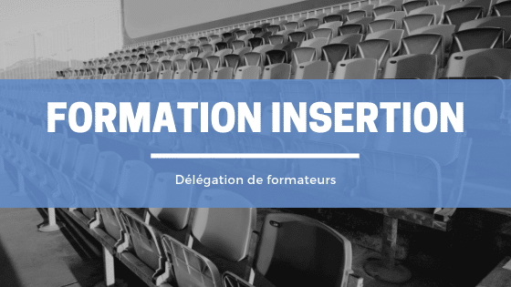 formateur insertion