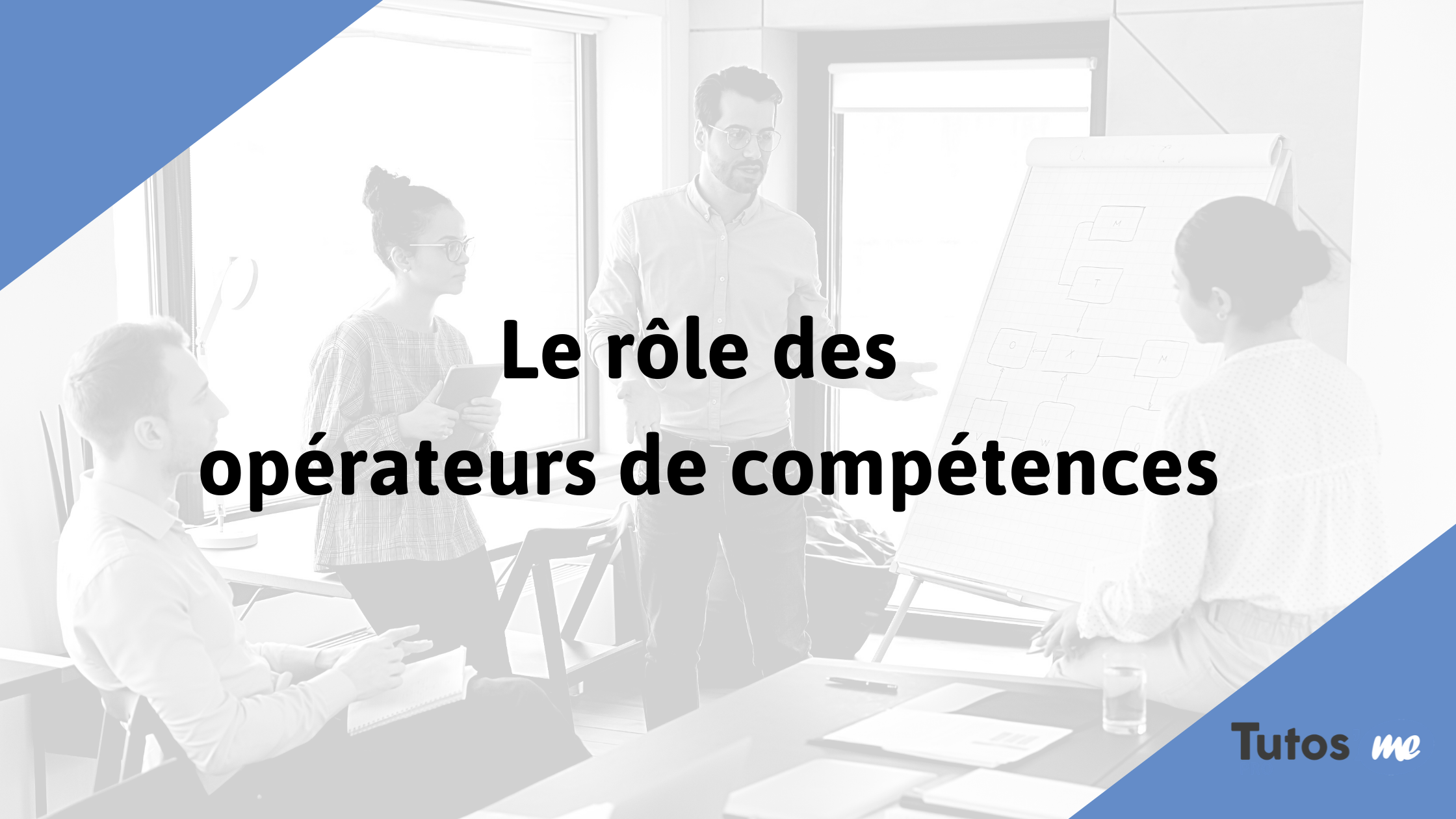 Le rôle des opérateurs de compétences